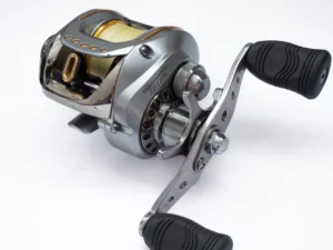 Démontage – 06 TD ZILLION 100 HLA