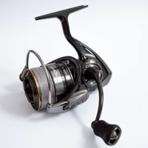 Démontage – 17 STEEZ Type II HS