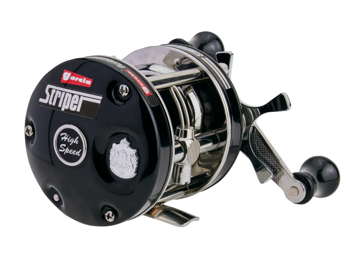 AMBASSADEUR 5501 Striper Black