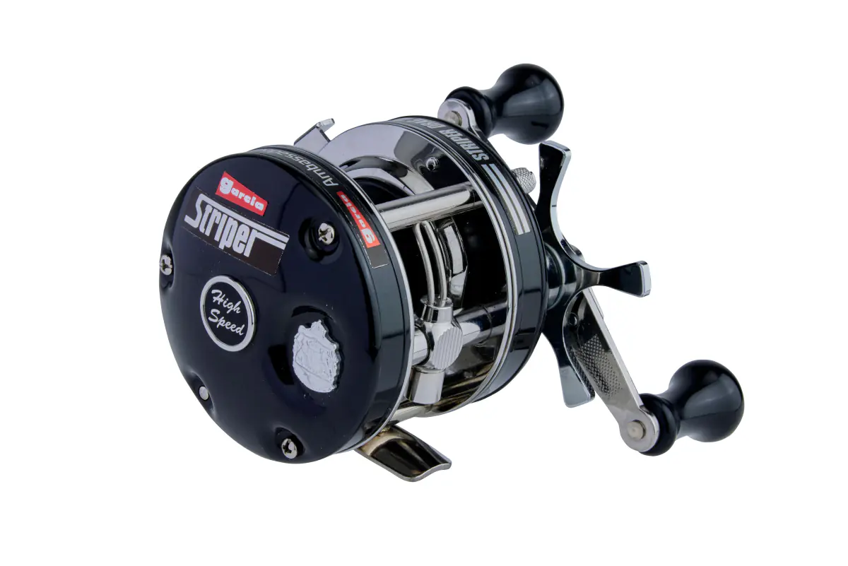 AMBASSADEUR 4501 Striper Black