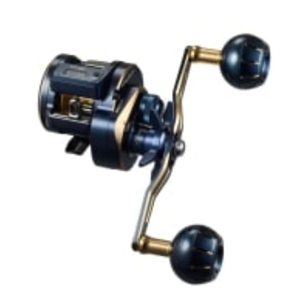 21 SALTIGA IC 300L-DH