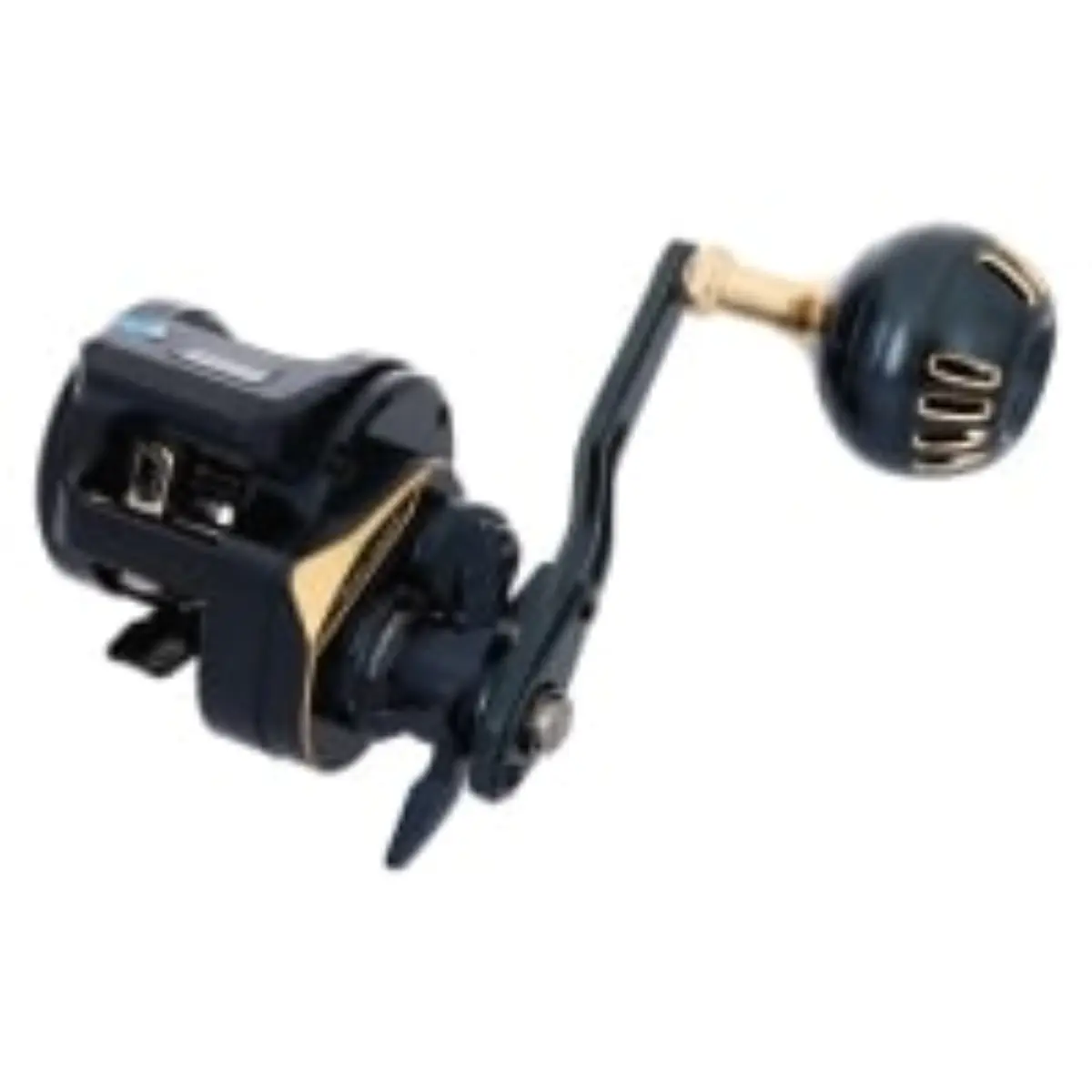 25 Saltiga IC 300L-C