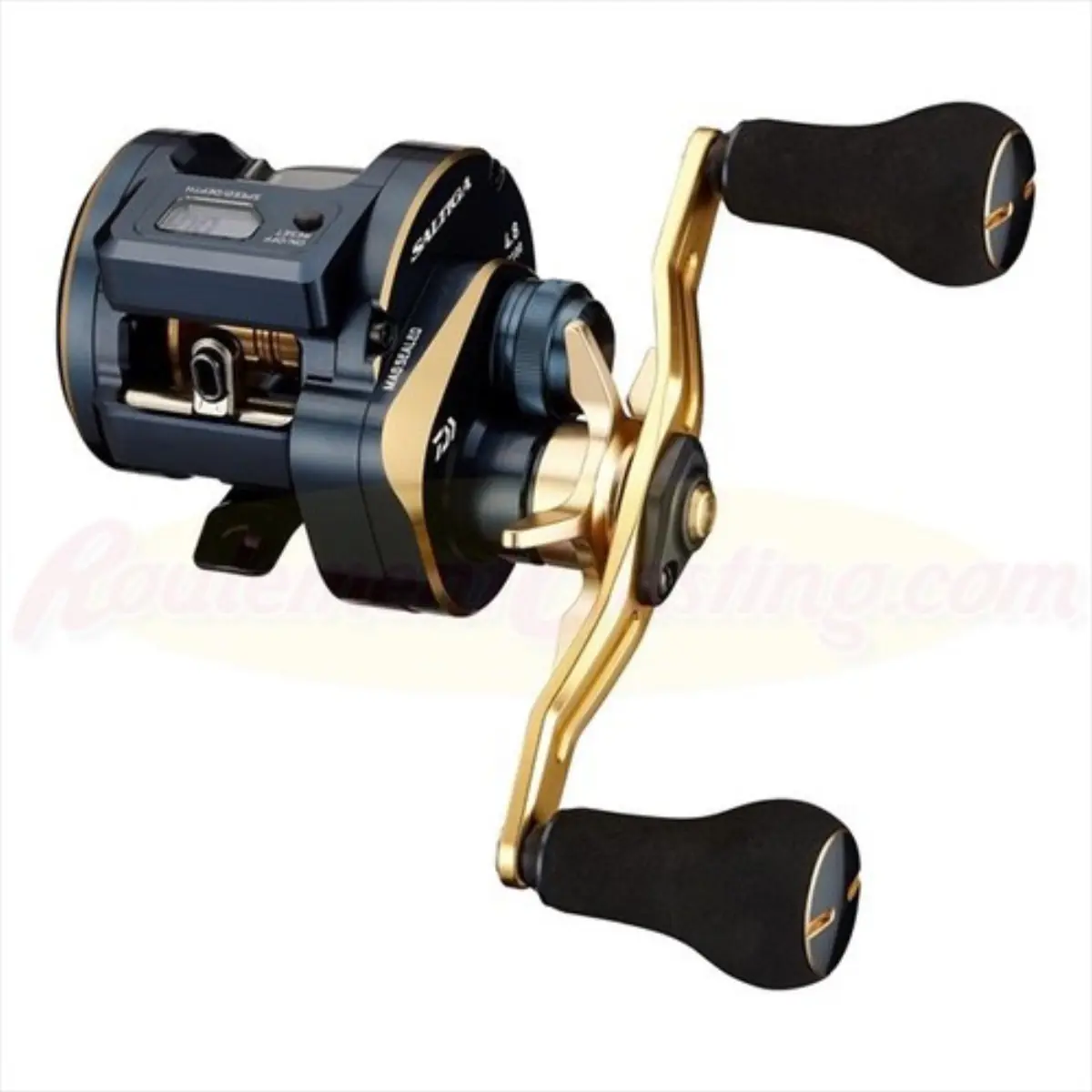 21SALTIGA IC 100PL-DH