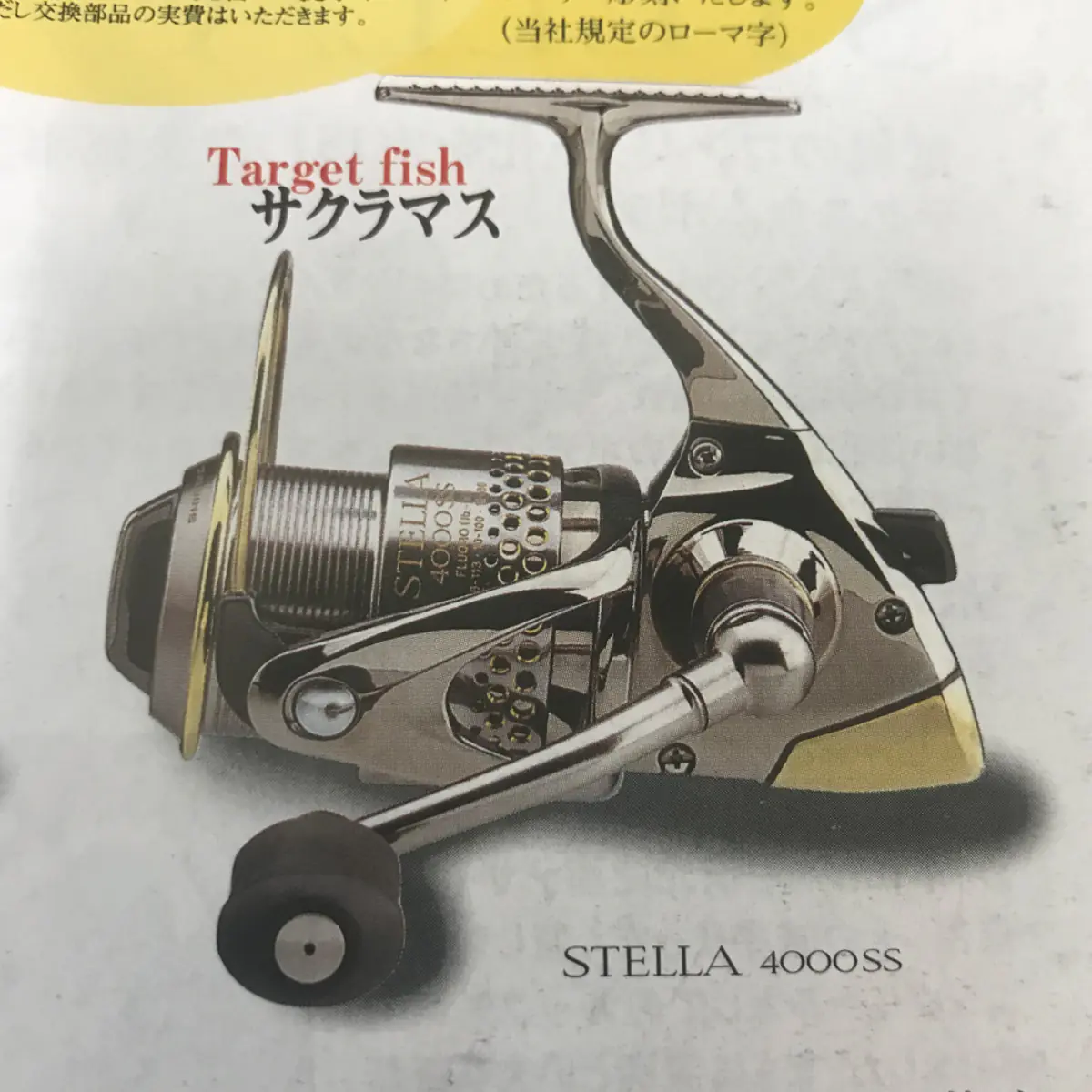00 STELLA MILLENIUM 1000 SS