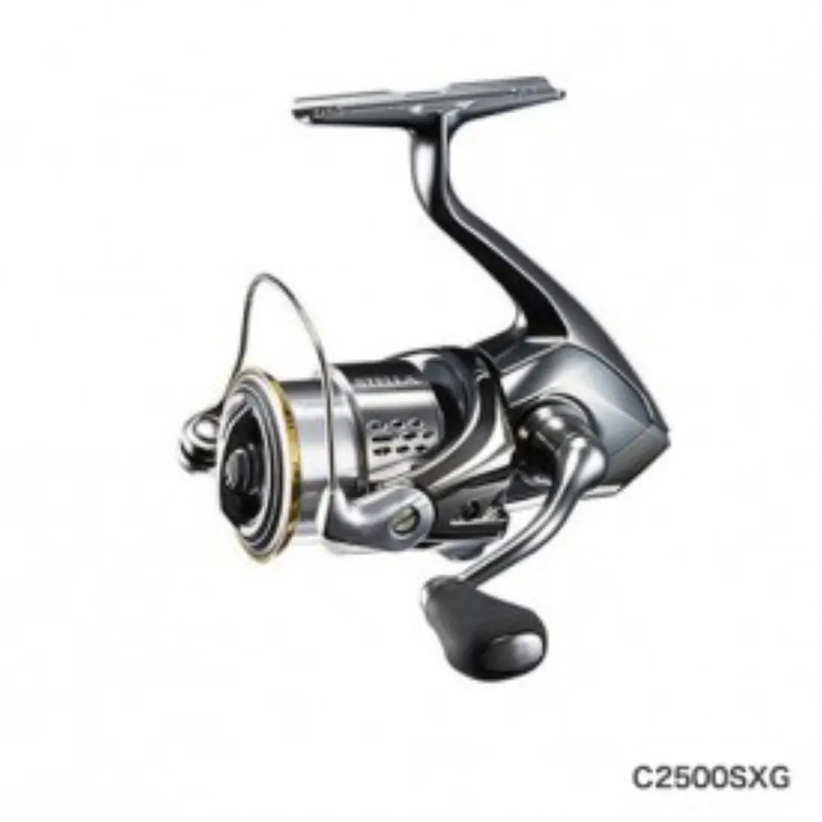 19 STELLA C2500S XG