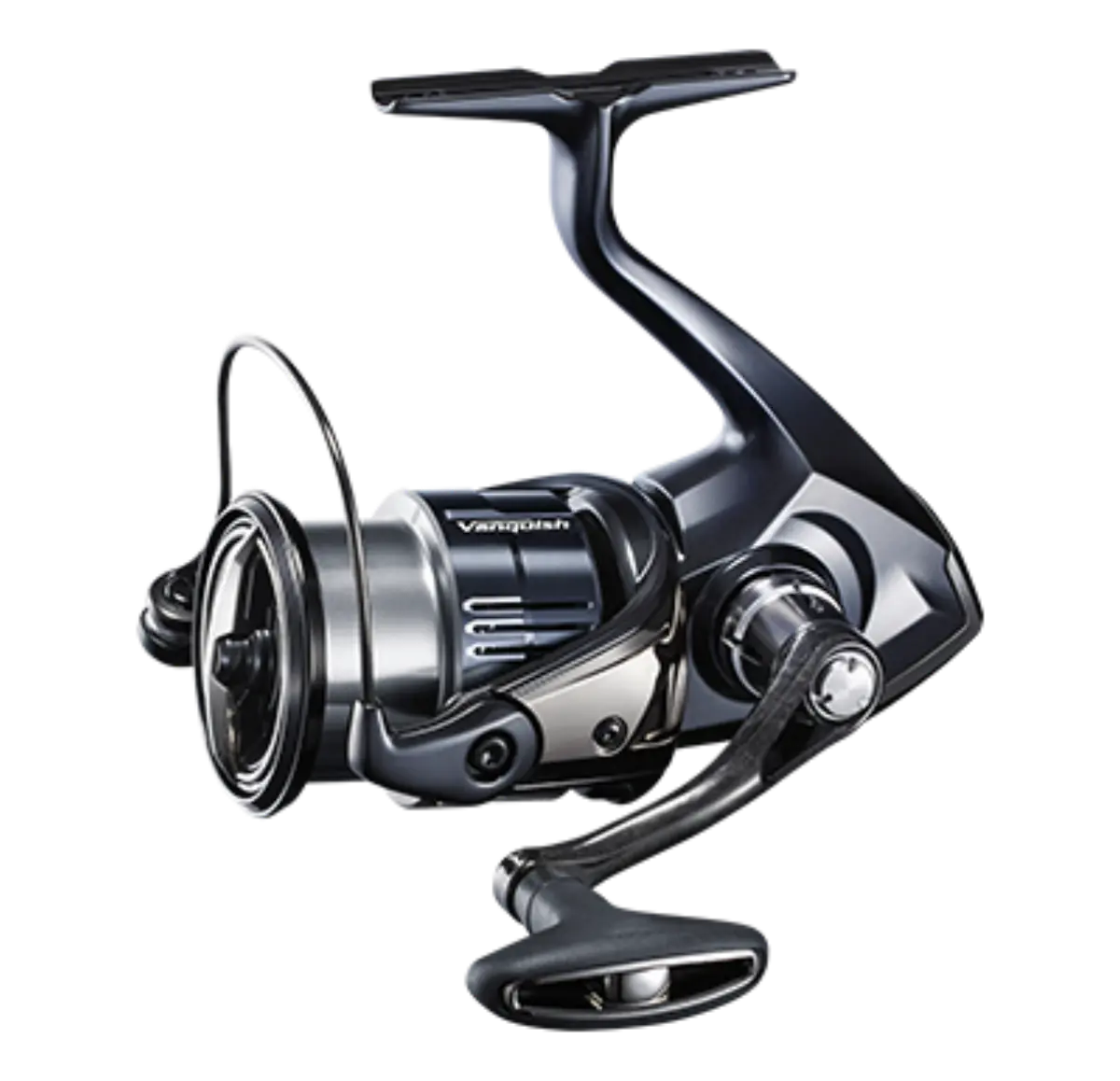 19 VANQUISH 3000M HG