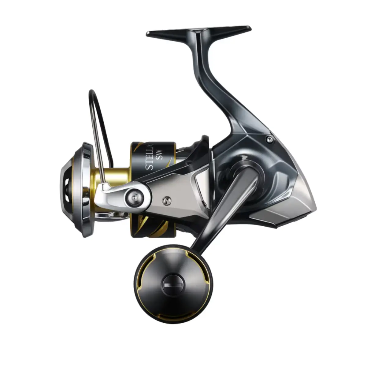25 STELLA SW 8000 PG