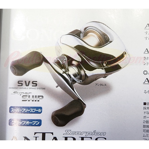 99 SCORPION ANTARES 5