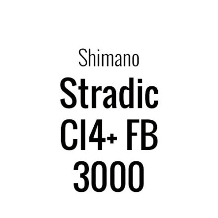 Pack roulements Stradic CI4+ FB 3000