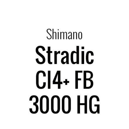 Pack roulements Stradic CI4+ FB 3000HG