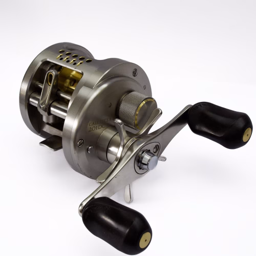 04Calcutta_DC_article