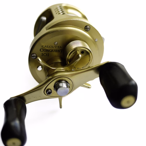 CalcuttaConquest101_article