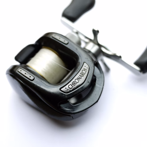 Chronarch_BPV_article