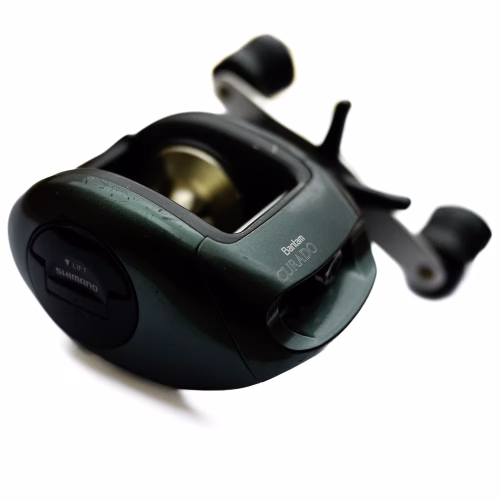 Curado_Bantam_article