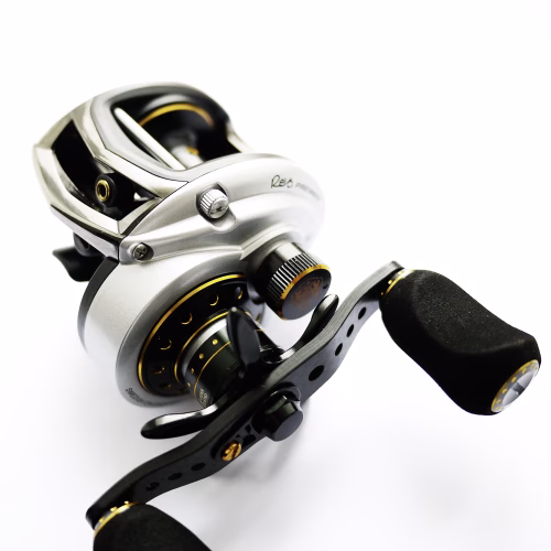 Rev3_Premier_article